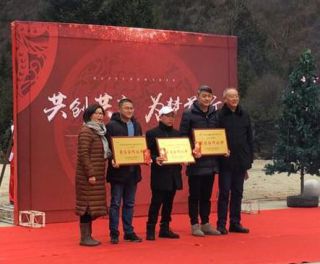 三江国际丽城项目喜获“2016年度最佳合作伙